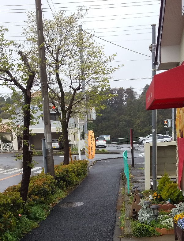 Nobori